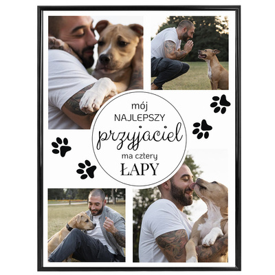 Najlepszy przyjaciel ma cztery łapy