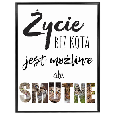 Smutne życie bez kota